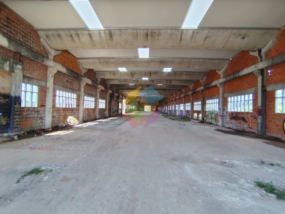 Armazém para Venda em Nogueira do Cravo e Pindelo Foto 3