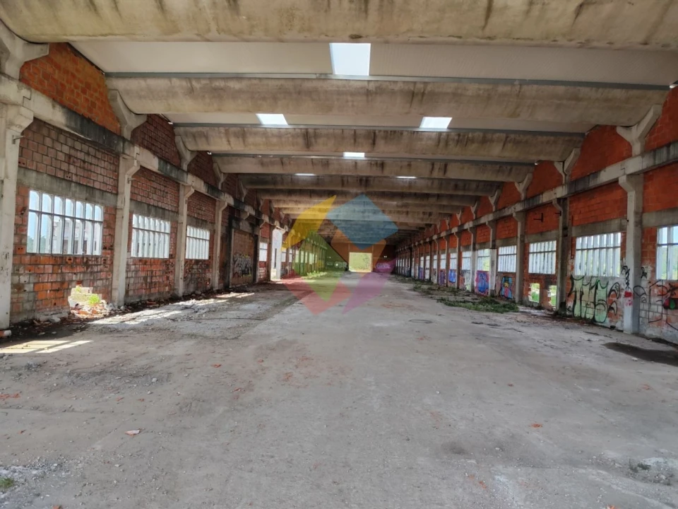 Armazém para Venda em Nogueira do Cravo e Pindelo Foto 4