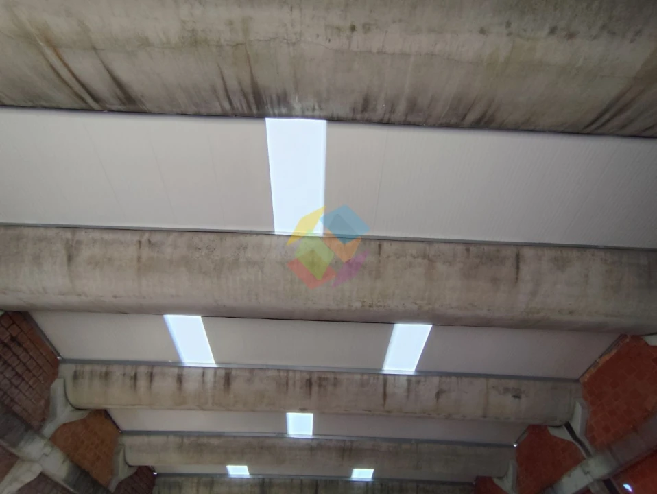 Armazém para Venda em Nogueira do Cravo e Pindelo Foto 5