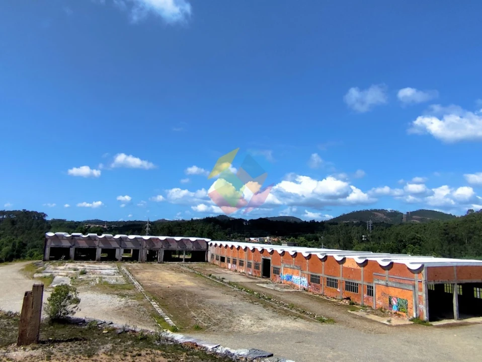 Armazém para Venda em Nogueira do Cravo e Pindelo Foto 6