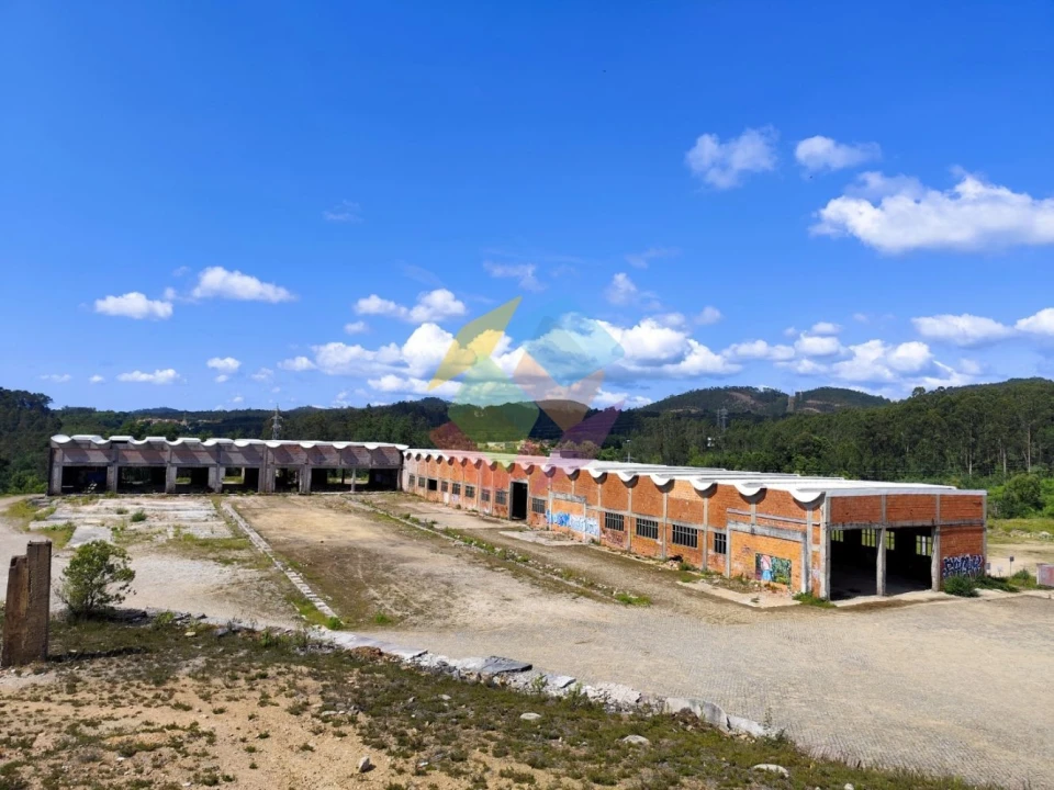 Armazém para Venda em Nogueira do Cravo e Pindelo Foto 7