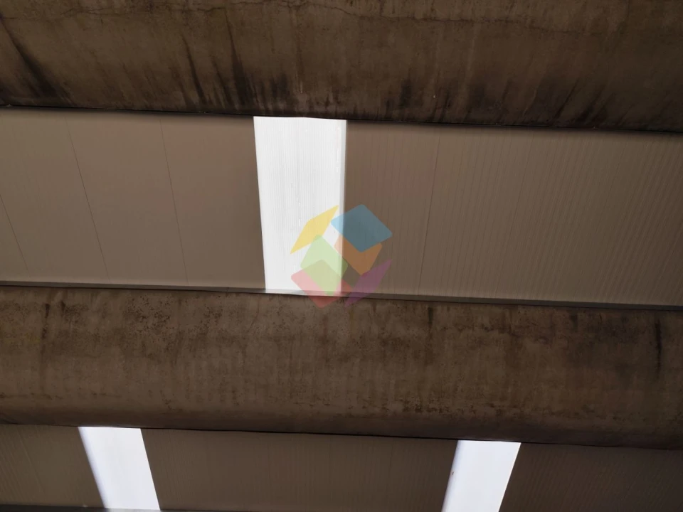 Armazém para Venda em Nogueira do Cravo e Pindelo Foto 8