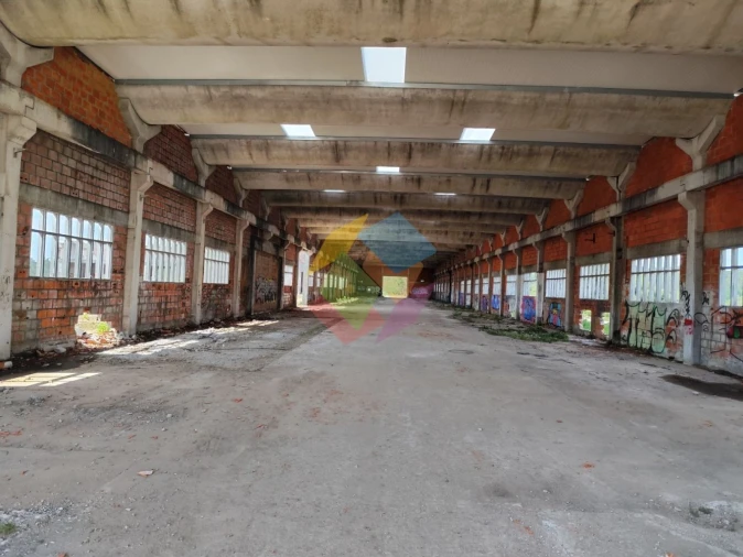 Armazém para Venda em Nogueira do Cravo e Pindelo Foto 4