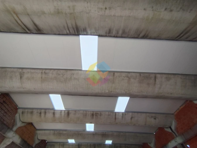 Armazém para Venda em Nogueira do Cravo e Pindelo Foto 5