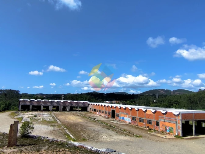 Armazém para Venda em Nogueira do Cravo e Pindelo Foto 6