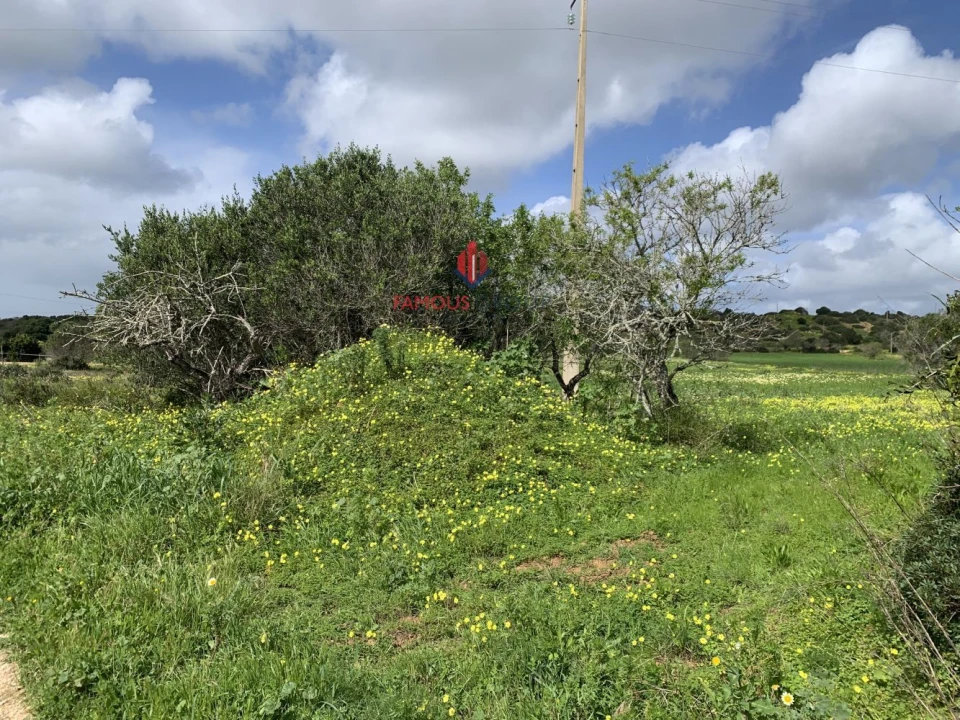 Terreno Agricola ou Rústico para Venda em Lagos (São Sebastião e Santa Maria) Foto 1