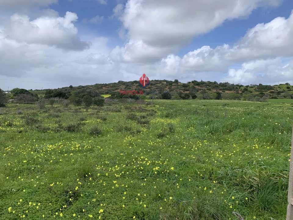 Terreno Agricola ou Rústico para Venda em Lagos (São Sebastião e Santa Maria) Foto 3