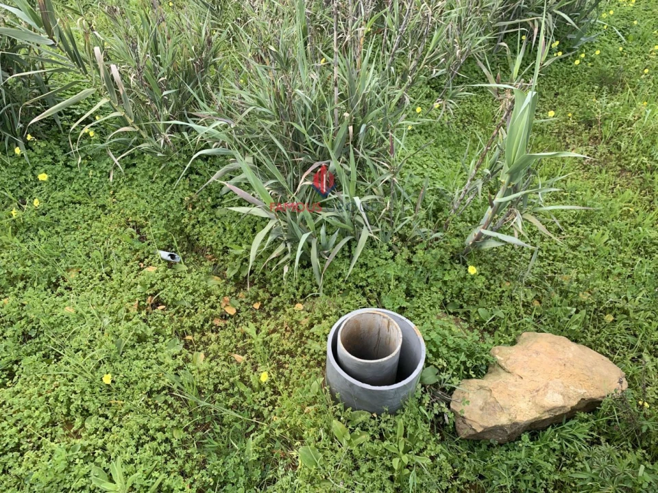 Terreno Agricola ou Rústico para Venda em Lagos (São Sebastião e Santa Maria) Foto 5