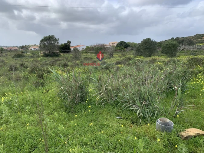Terreno Agricola ou Rústico para Venda em Lagos (São Sebastião e Santa Maria) Foto 6