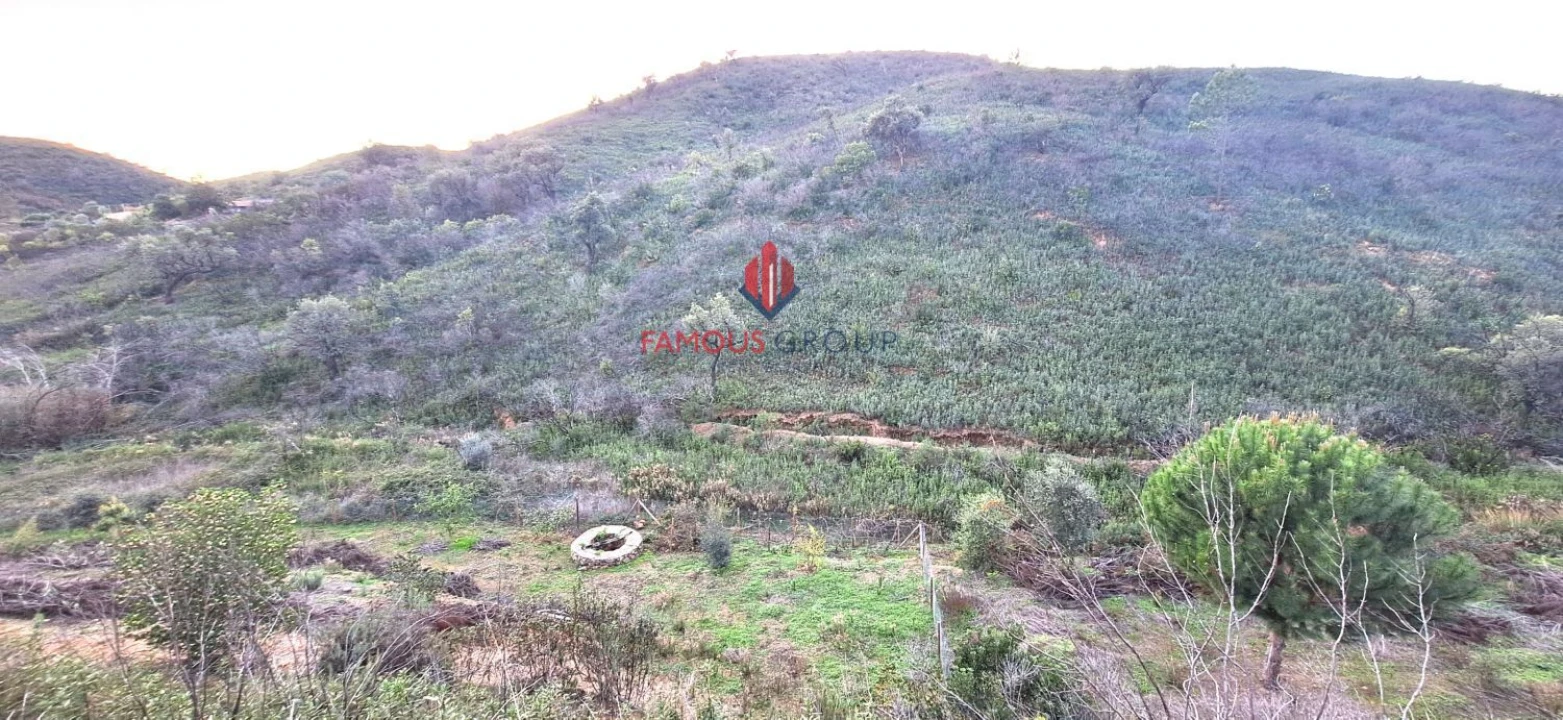Terreno Agricola ou Rústico para Venda em Mexilhoeira Grande Foto 1