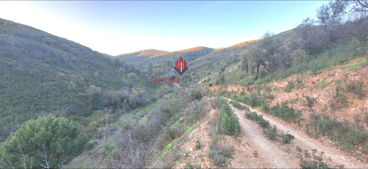 Terreno Agricola ou Rústico para Venda em Mexilhoeira Grande Foto 10
