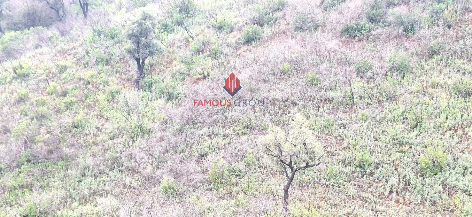 Terreno Agricola ou Rústico para Venda em Mexilhoeira Grande Foto 4