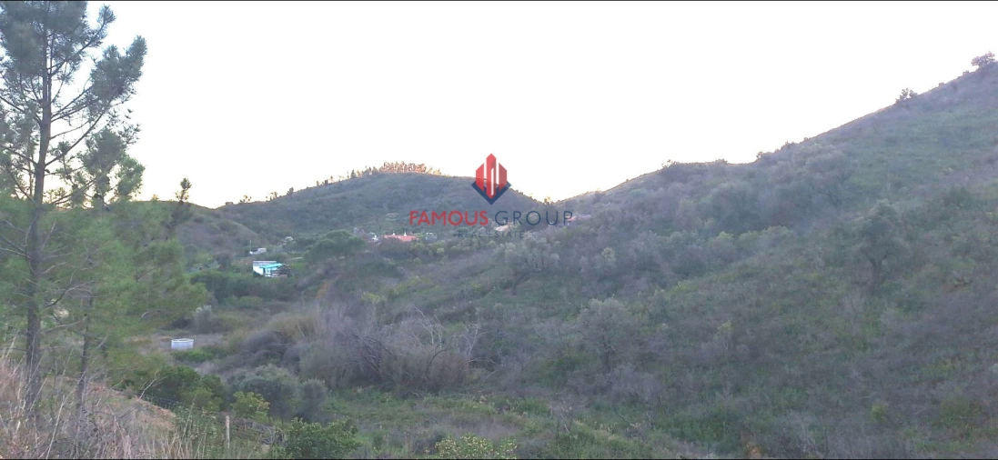 Terreno Agricola ou Rústico para Venda em Mexilhoeira Grande Foto 11