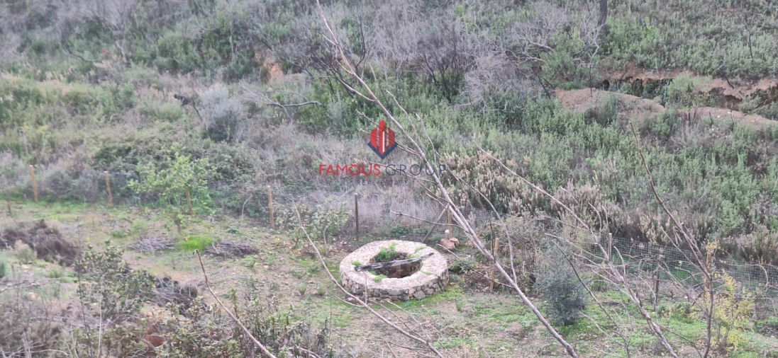 Terreno Agricola ou Rústico para Venda em Mexilhoeira Grande Foto 2