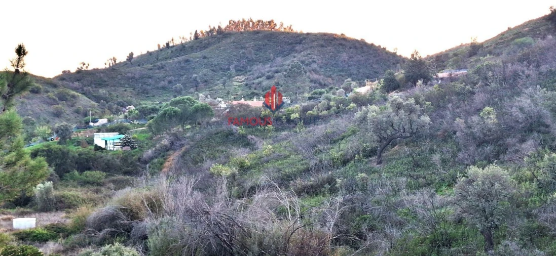 Terreno Agricola ou Rústico para Venda em Mexilhoeira Grande Foto 8