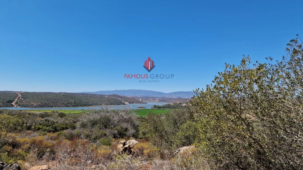 Terreno Agricola ou Rústico para Venda em Estômbar e Parchal Foto 10
