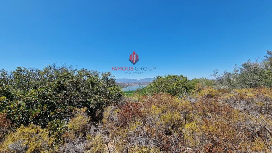 Terreno Agricola ou Rústico para Venda em Estômbar e Parchal Foto 14