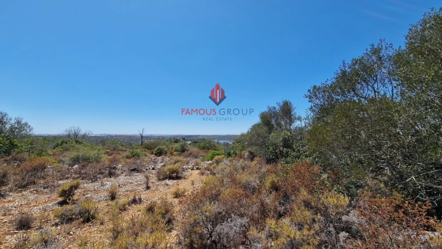 Terreno Agricola ou Rústico para Venda em Estômbar e Parchal Foto 13