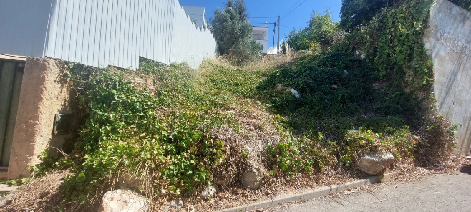 Terreno Agricola ou Rústico para Venda em Portimão Foto 10