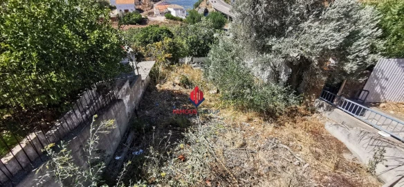 Terreno Agricola ou Rústico para Venda em Portimão