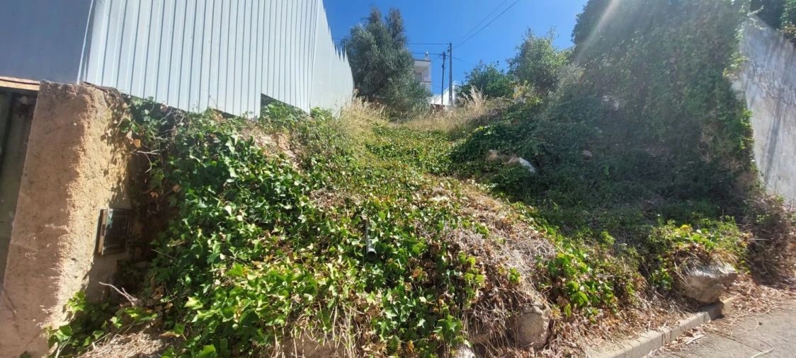 Terreno Agricola ou Rústico para Venda em Portimão Foto 11
