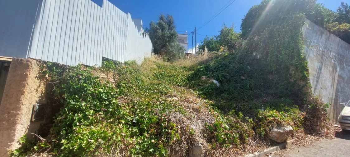 Terreno Agricola ou Rústico para Venda em Portimão Foto 4