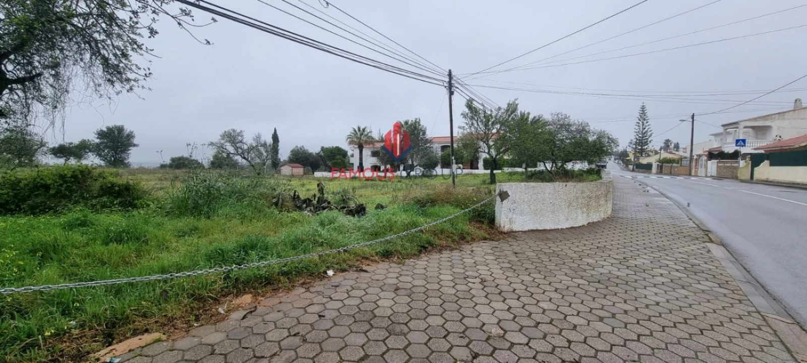 Terreno Agricola ou Rústico para Venda em Estômbar e Parchal Foto 6