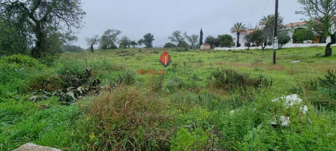 Terreno Agricola ou Rústico para Venda em Estômbar e Parchal Foto 8