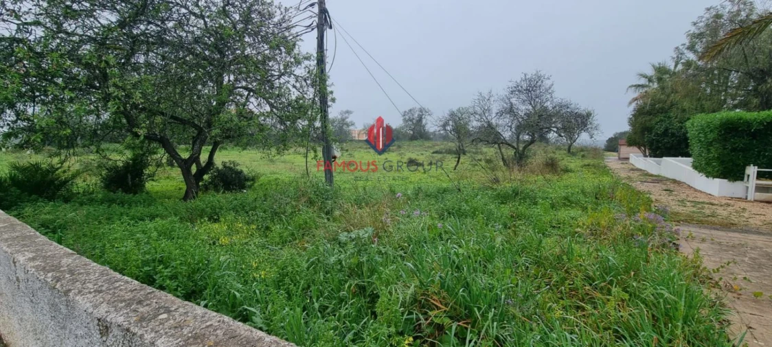 Terreno Agricola ou Rústico para Venda em Estômbar e Parchal Foto 9