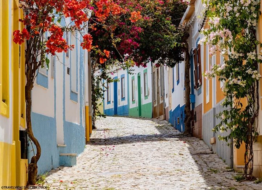 Terreno Agricola ou Rústico para Venda em Ferragudo Foto 15