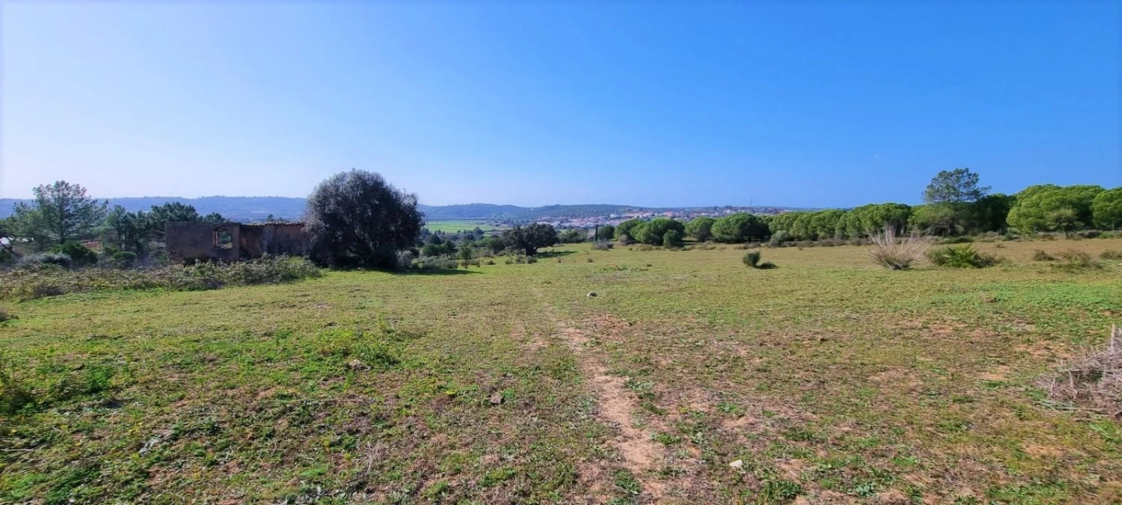 Terreno Agricola ou Rústico para Venda em Odiaxere Foto 12