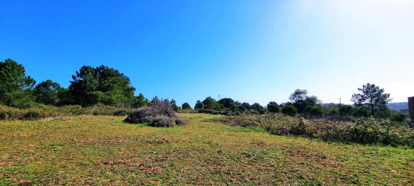 Terreno Agricola ou Rústico para Venda em Odiaxere Foto 19