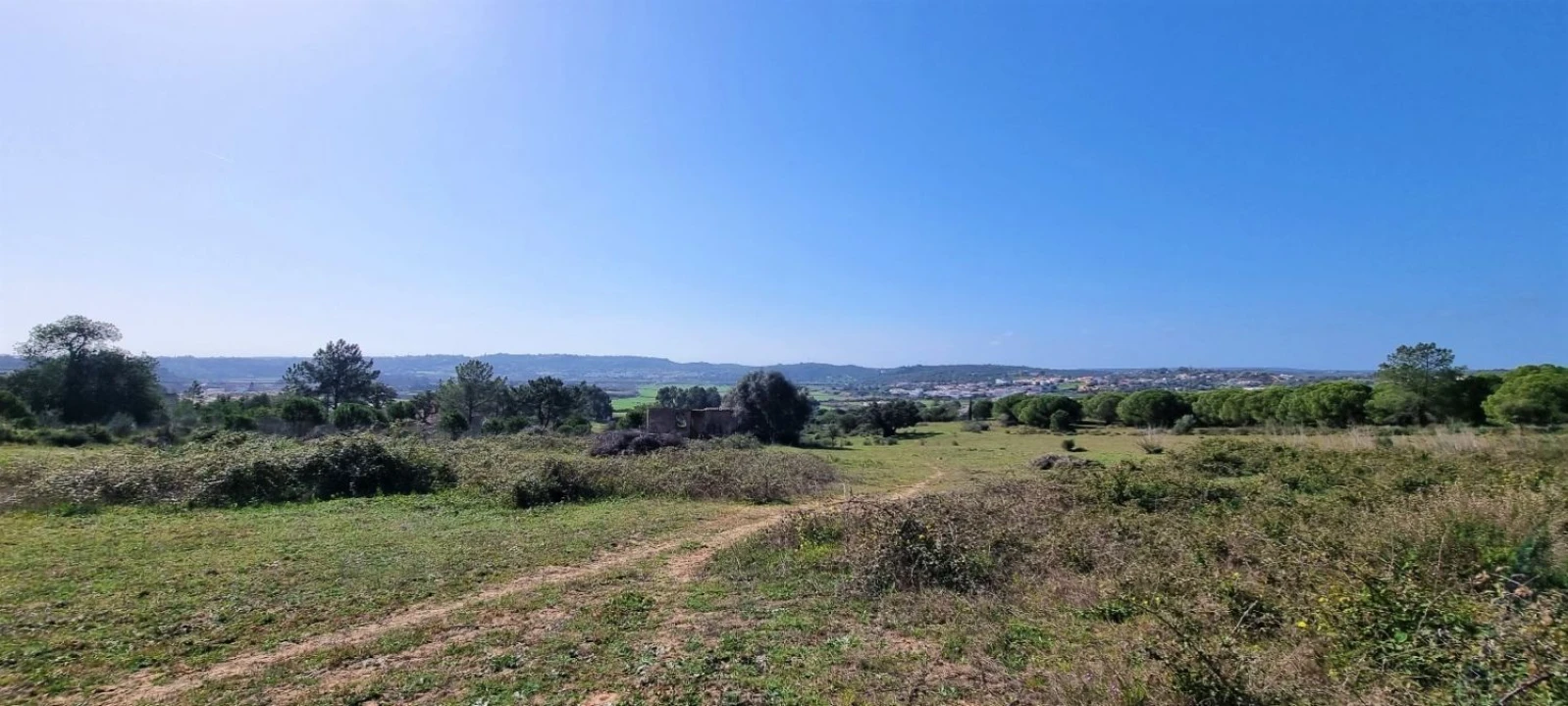 Terreno Agricola ou Rústico para Venda em Odiaxere Foto 8