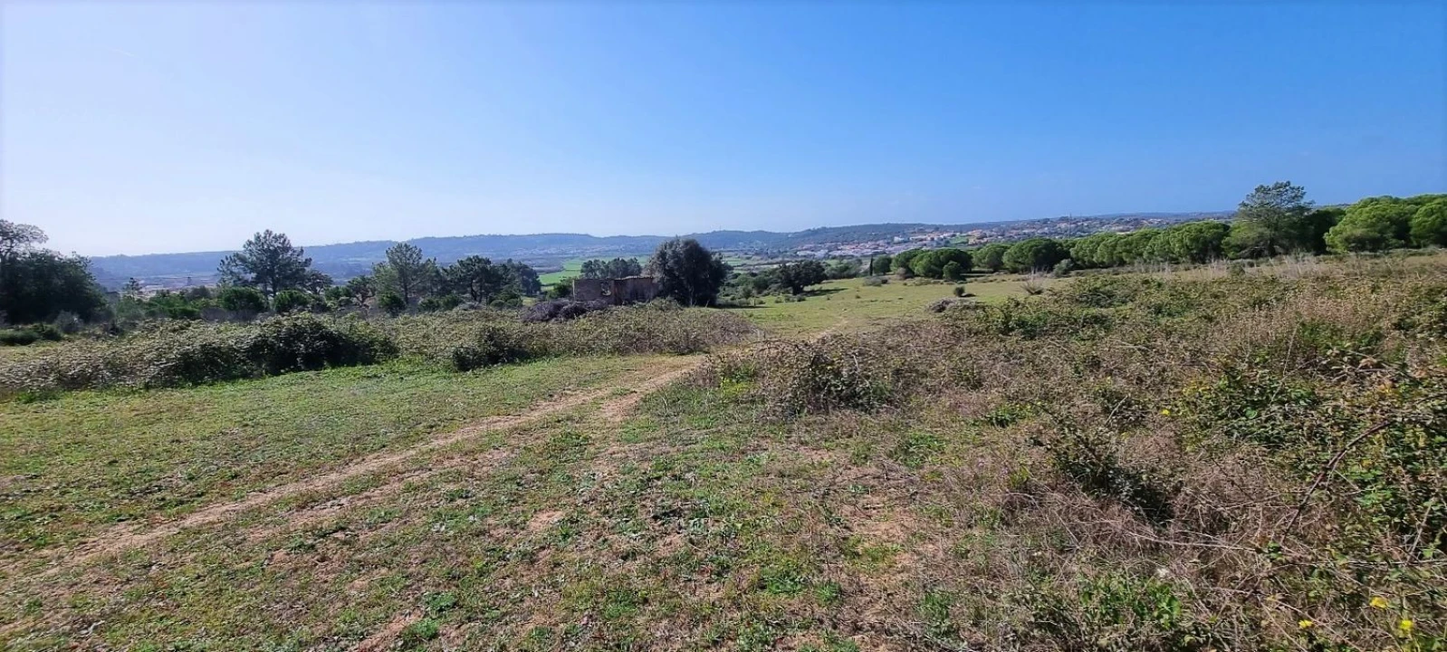 Terreno Agricola ou Rústico para Venda em Odiaxere Foto 9