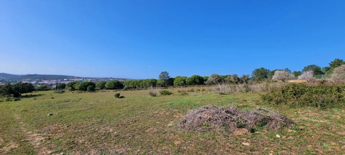 Terreno Agricola ou Rústico para Venda em Odiaxere Foto 13