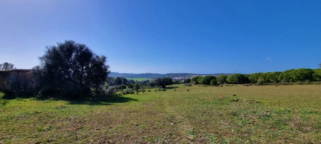 Terreno Agricola ou Rústico para Venda em Odiaxere Foto 15