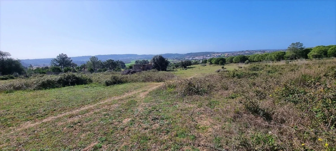 Terreno Agricola ou Rústico para Venda em Odiaxere Foto 9