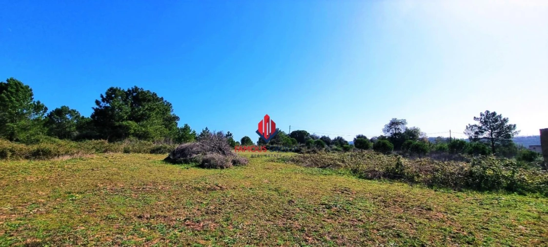 Terreno Agricola ou Rústico para Venda em Odiaxere Foto 19