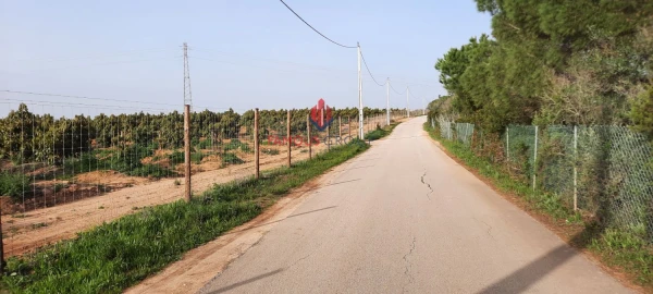 Moradia T1 para Venda em Luz