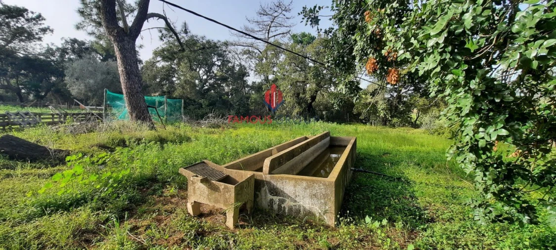 Moradia T1 para Venda em Luz Foto 2