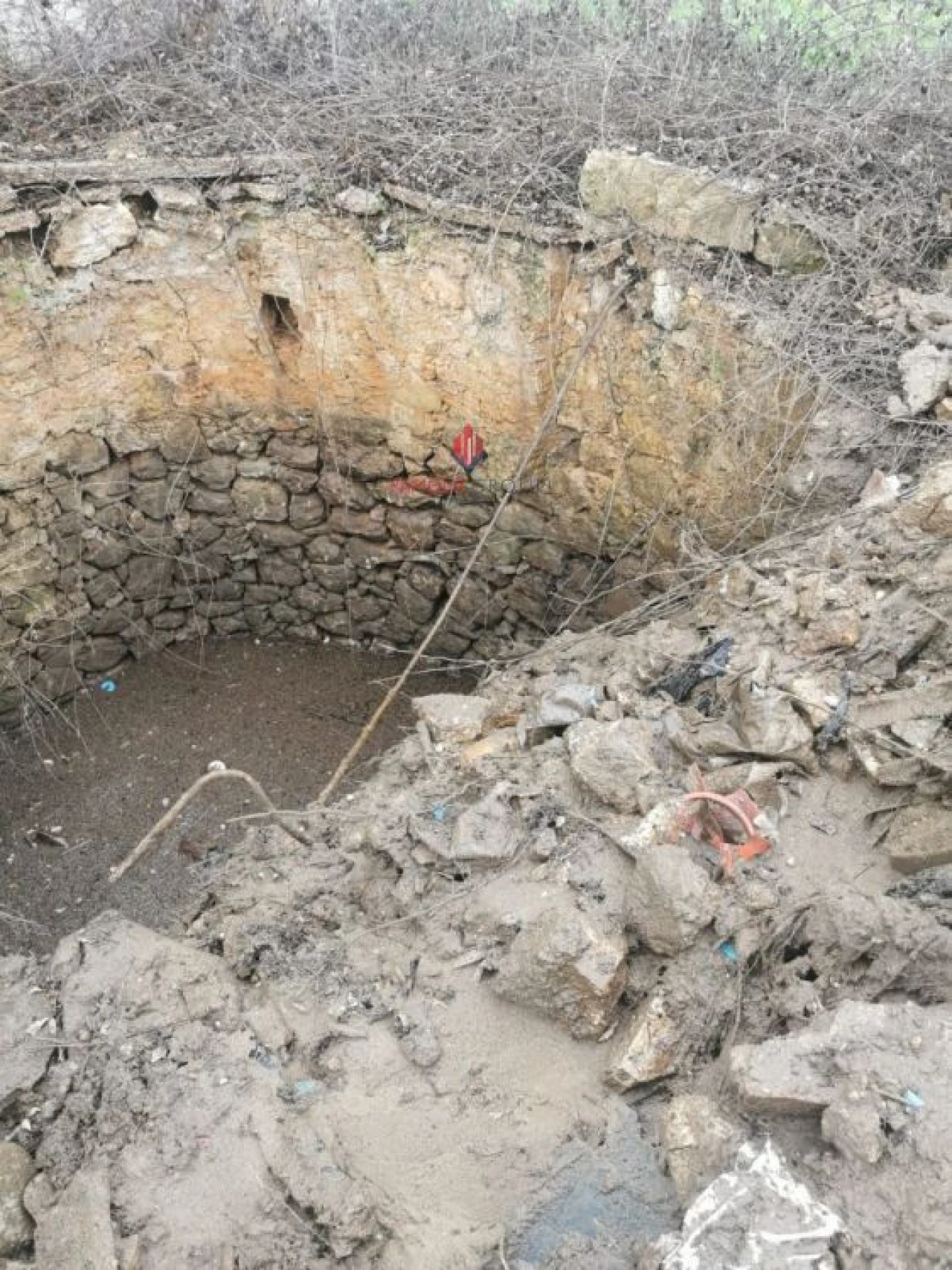 Terreno Agricola ou Rústico para Venda em Quelfes Foto 10