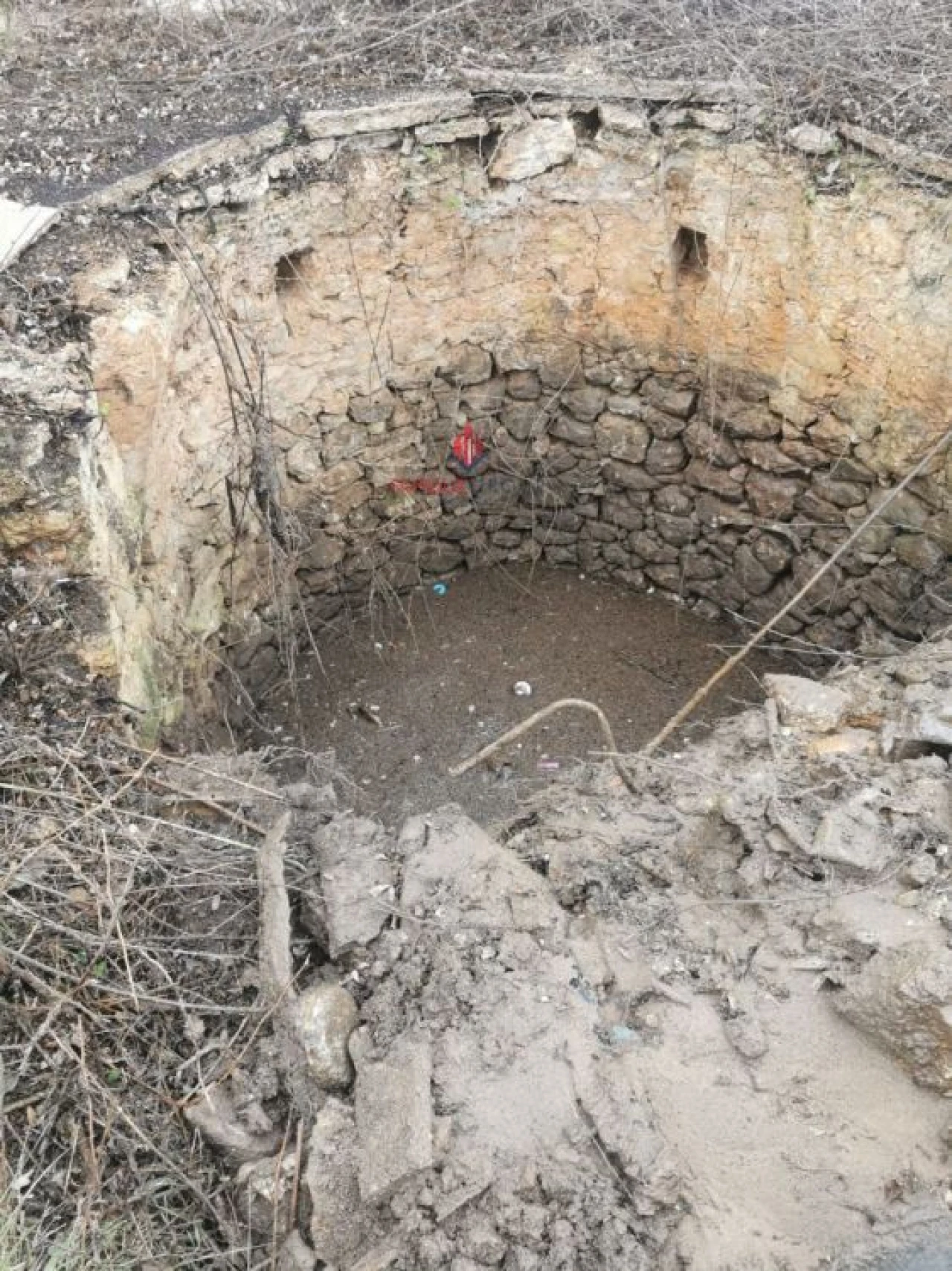 Terreno Agricola ou Rústico para Venda em Quelfes Foto 11