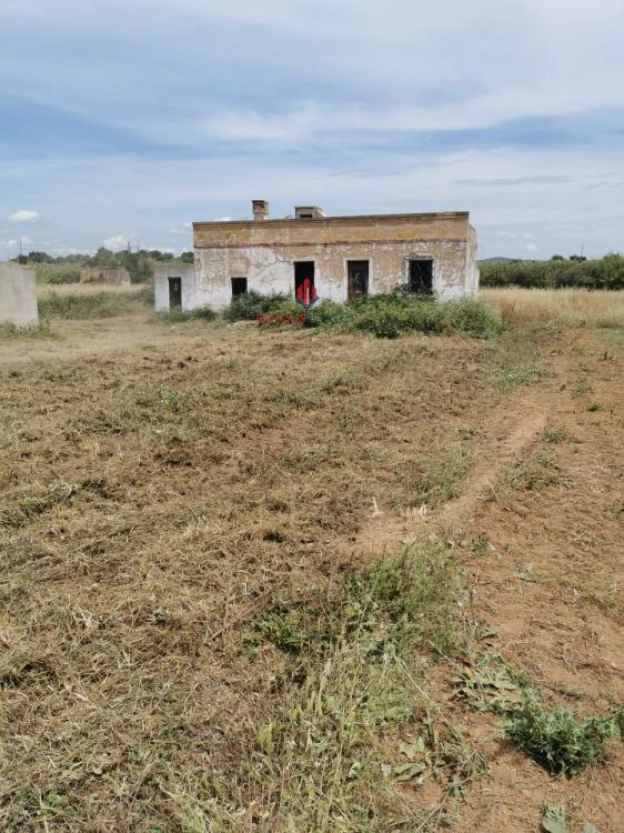Terreno Agricola ou Rústico para Venda em Quelfes Foto 12