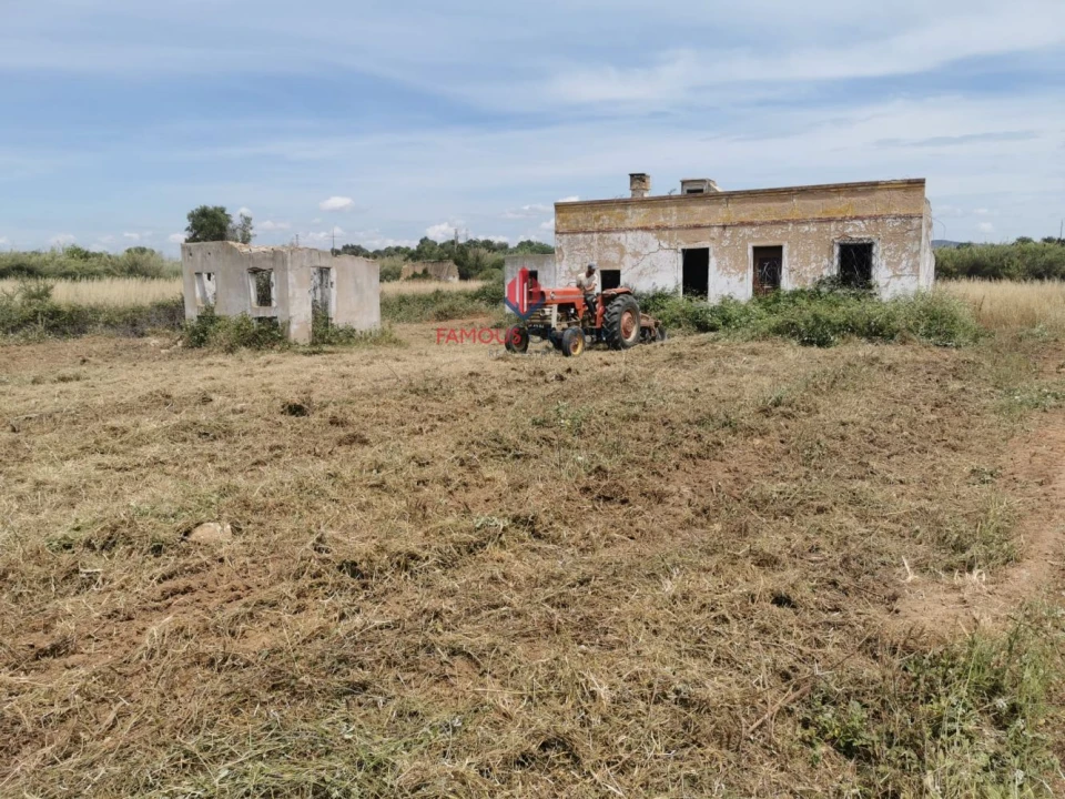 Terreno Agricola ou Rústico para Venda em Quelfes Foto 13