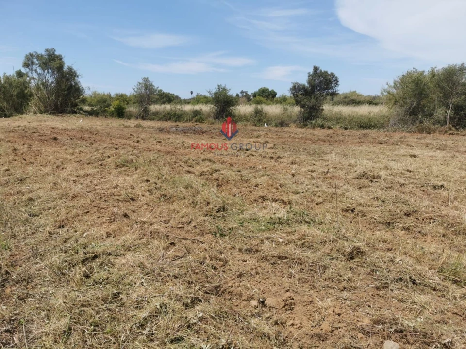 Terreno Agricola ou Rústico para Venda em Quelfes Foto 15
