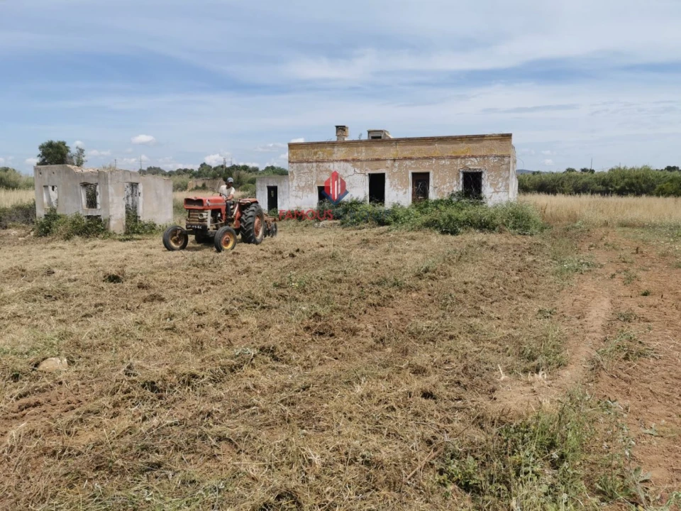 Terreno Agricola ou Rústico para Venda em Quelfes Foto 16