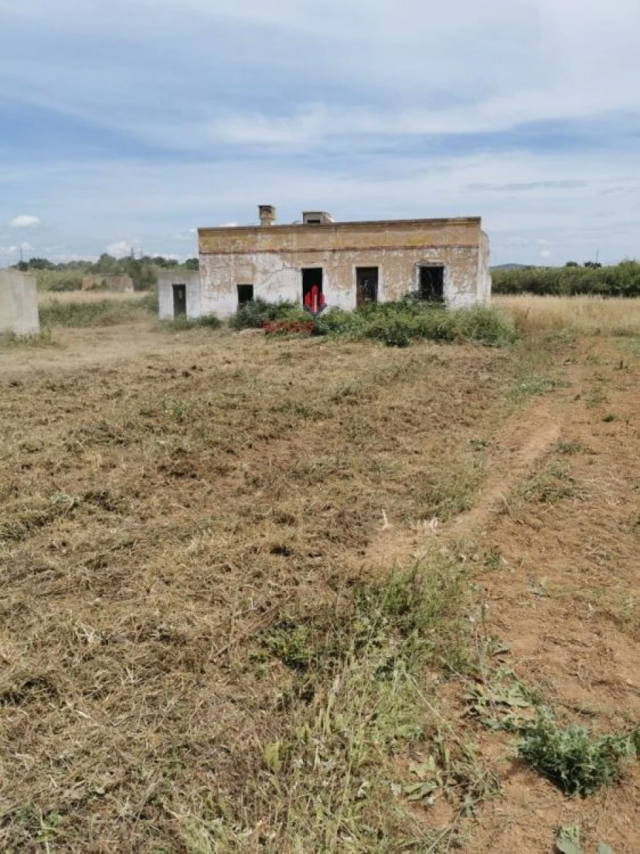 Terreno Agricola ou Rústico para Venda em Quelfes Foto 12