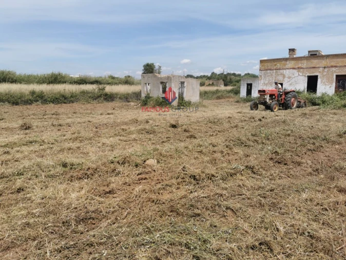 Terreno Agricola ou Rústico para Venda em Quelfes Foto 14