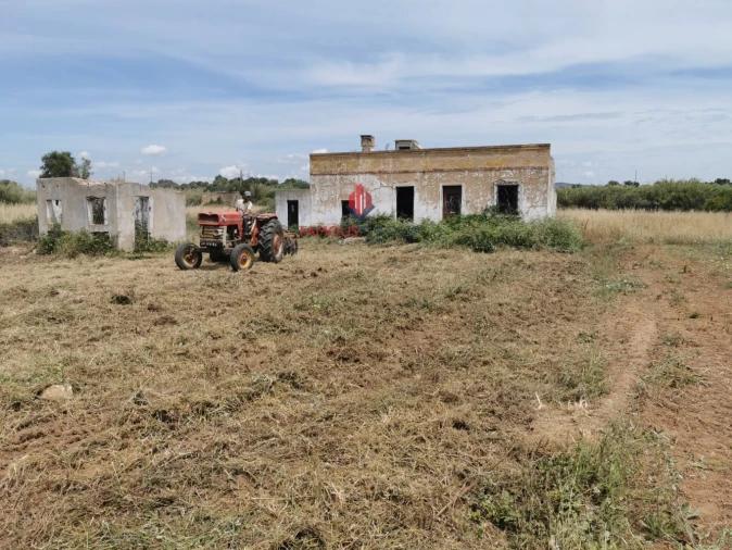 Terreno Agricola ou Rústico para Venda em Quelfes Foto 16