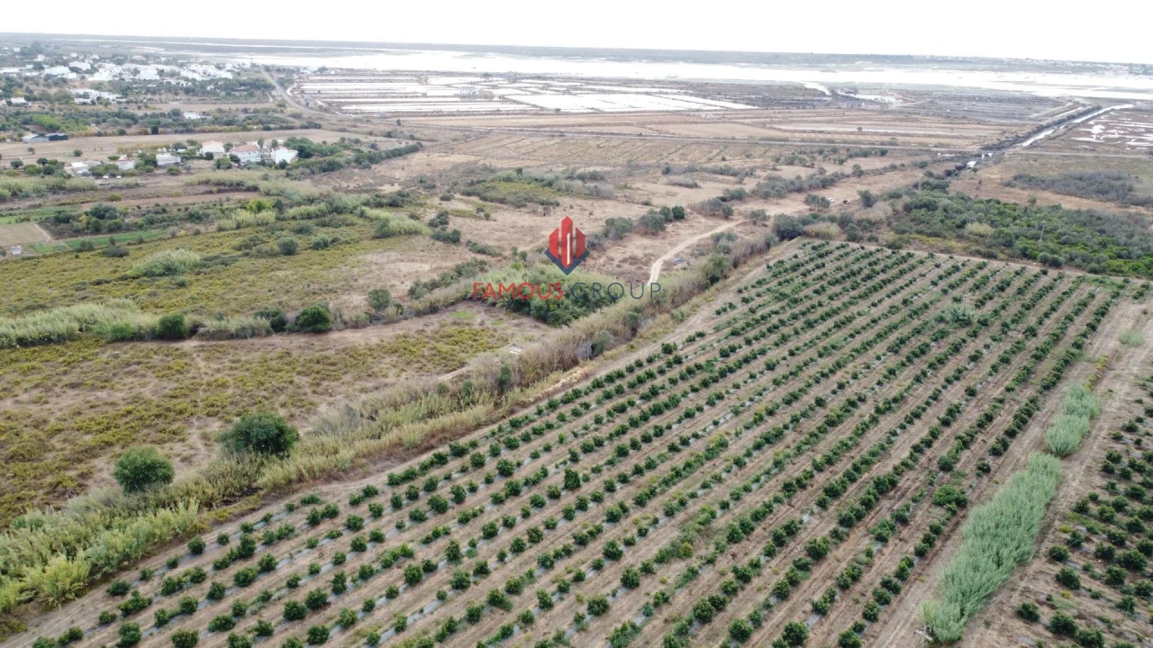 Terreno para Venda em Quelfes Foto 8